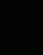 Xenon-flash small.gif