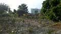 " 13 - ITALY - urban garden in Milan.jpg