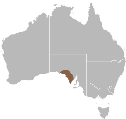 File:Delma petersoni distribution.svg