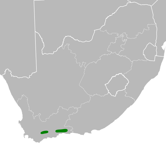File:Cyclopia bowieana distribution.svg