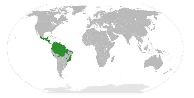 File:Swartzieae distribution.svg