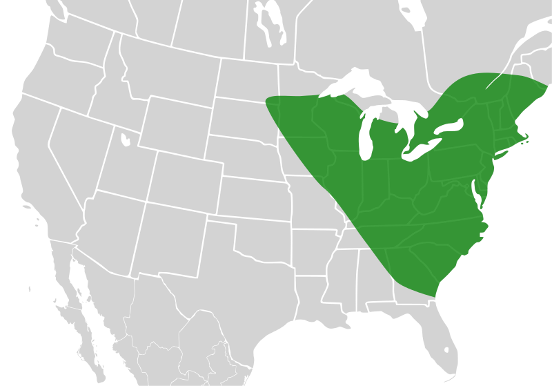 File:Bombus affinis distribution.svg