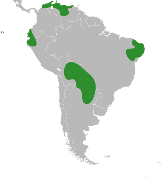 File:Geoffroea spinosa distribution.svg
