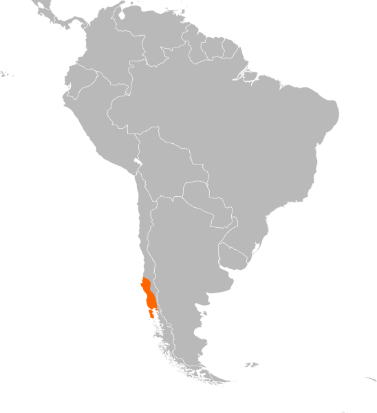 File:Samastacus distribution.svg