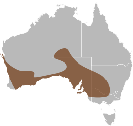 File:Delma australis distribution.svg