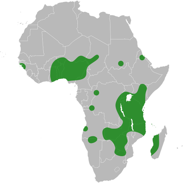 File:Rothia hirsuta distribution.svg