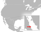 File:Hypsiglena torquata tortugaensis distribution.svg
