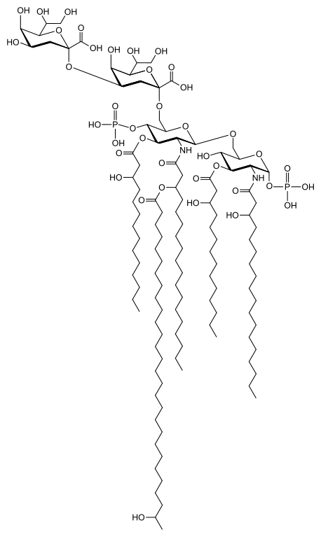 File:LPS of Sinorhizobium species.svg