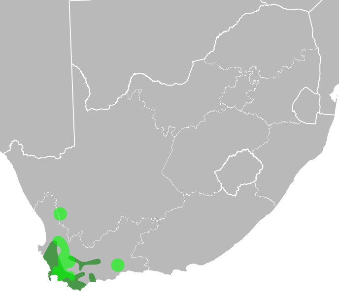 File:Xiphotheca distribution.svg