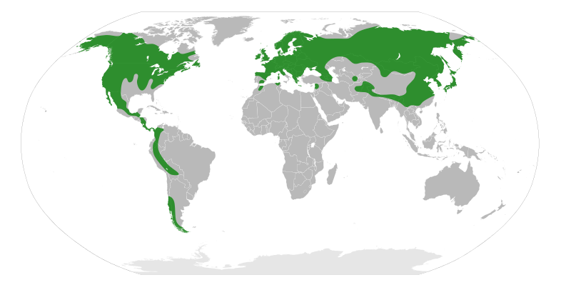 File:Grossulariaceae Distribution.svg