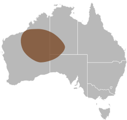 File:Delma desmosa distribution.svg