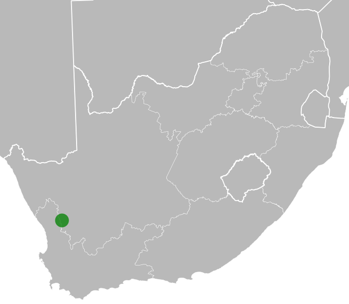 File:Xiphotheca canescens distribution.svg