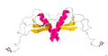 1ESR.pdb1.png