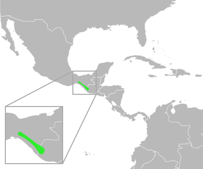 File:Bufo tutelarius distribution.svg