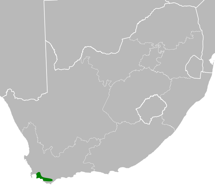 File:Liparia calycina distribution.svg