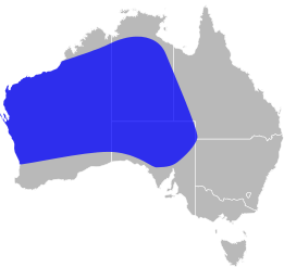 File:Pygopus nigriceps distribution.svg