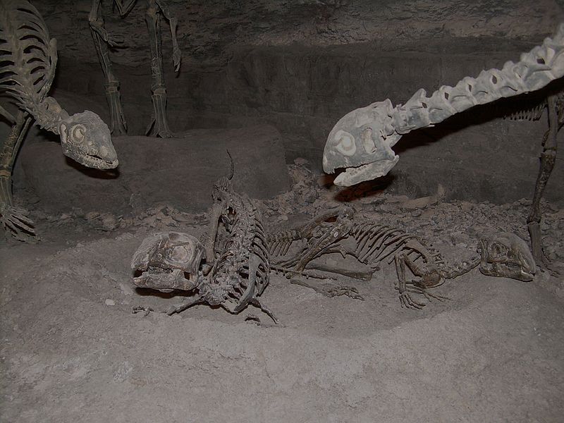 File:Othnielia rex nest.JPG