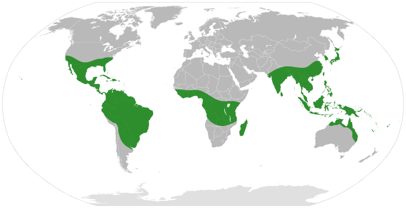 File:Simaroubaceae distribution.svg