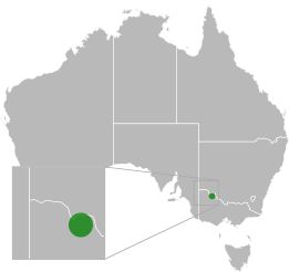 File:Aprasia aurita distribution.svg