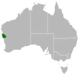 File:Aprasia smithi distribution.svg