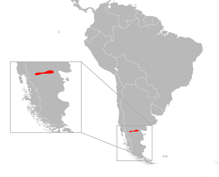 File:Liolaemus somuncurae distribution.svg