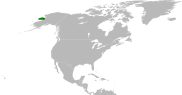 File:Primula anvilensis distribution.svg