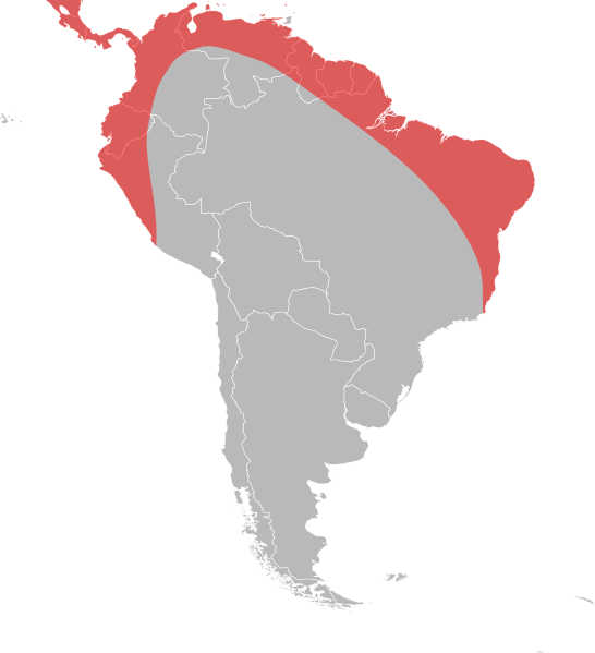File:Solenopsis geminata distribution.svg