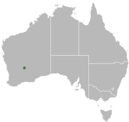 File:Aprasia picturata distribution.svg