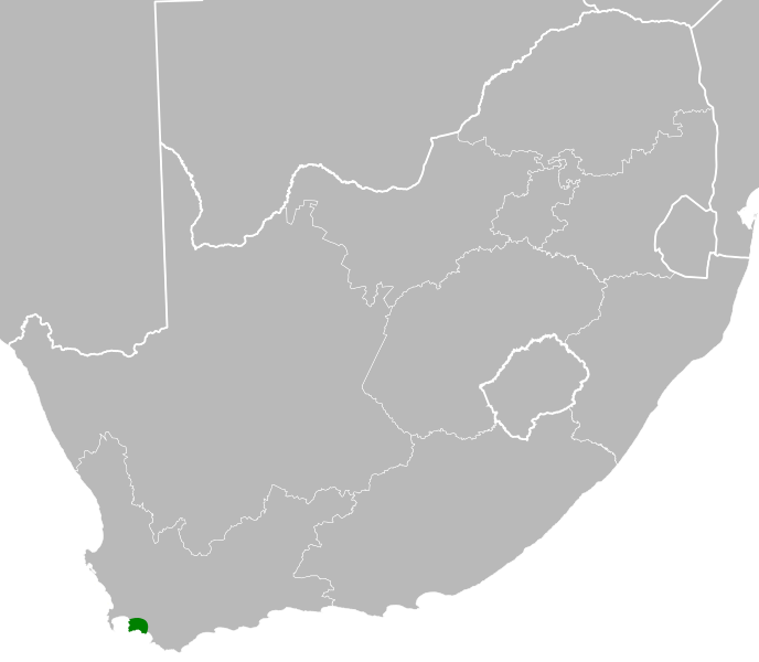 File:Lebeckia uniflora distribution.svg