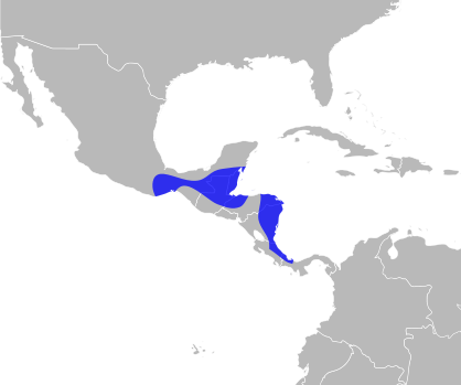 File:Manacus candei distribution.svg