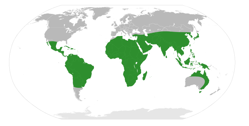 File:Ingeae Distribution Map.svg