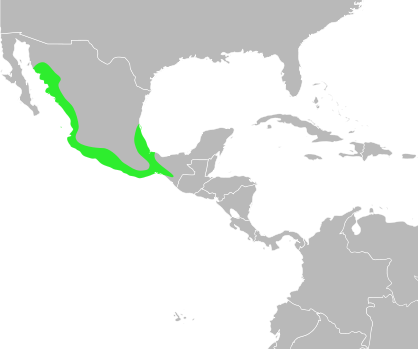File:Bufo marmoreus distribution.svg