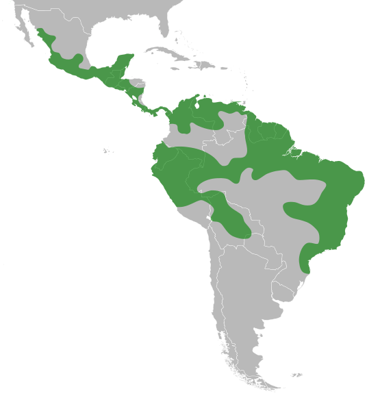 File:Platymiscium distribution.svg