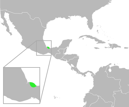 File:Bufo cavifrons distribution.svg