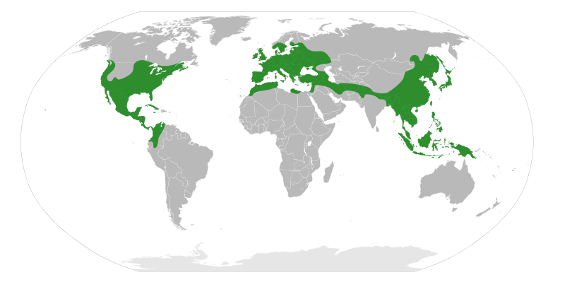 File:Fagaceae Distribution.svg