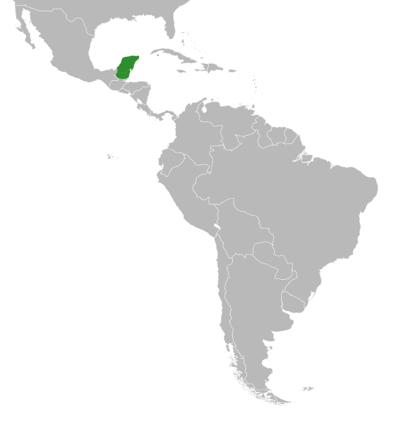 File:Platymiscium yucatanum distribution.svg