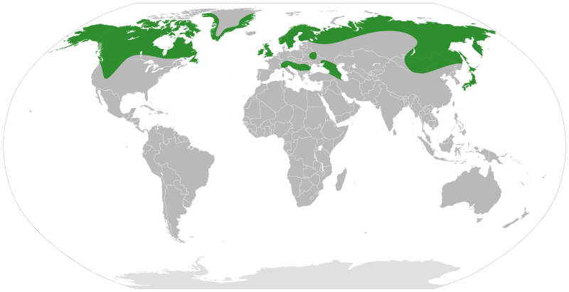 File:Dryas distribution.svg