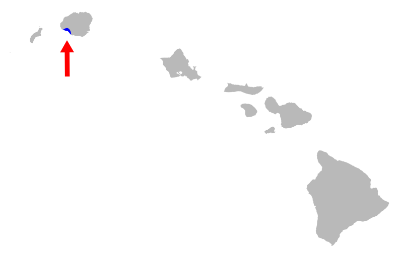 File:Orsonwelles torosus distribution.svg