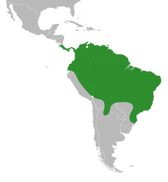 File:Caladium distribution.svg