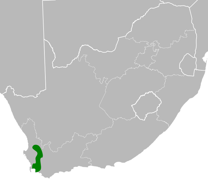 File:Xiphotheca tecta distribution.svg
