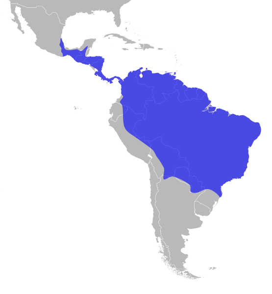File:Harpy Eagle Range.svg