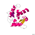 1B8R.pdb.png