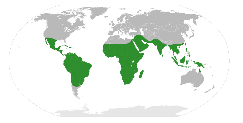 File:Senegalia Distribution Map.svg
