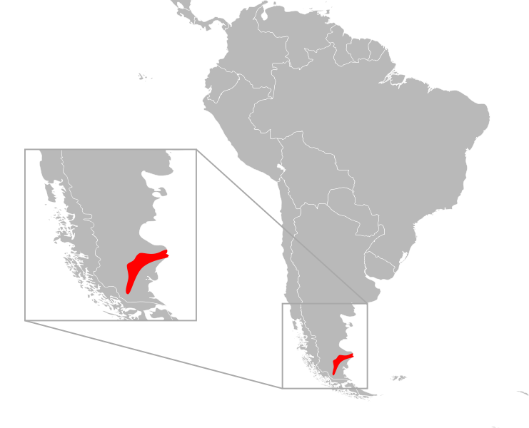 File:Liolaemus lineomaculatus distribution.svg