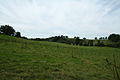 " Are those Indians on the ridge" - geograph.org.uk - 533461.jpg