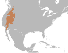 File:Hypsiglena torquata deserticola distribution.svg