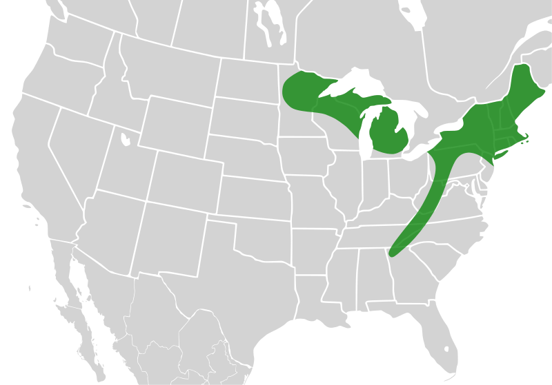 File:Bombus terricola distribution.svg