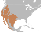File:Hypsiglena torquata distribution.svg