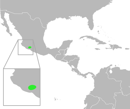 File:Bufo pisinnus distribution.svg