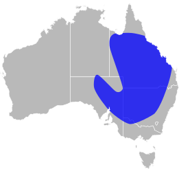 File:Pygopus schraderi distribution.svg